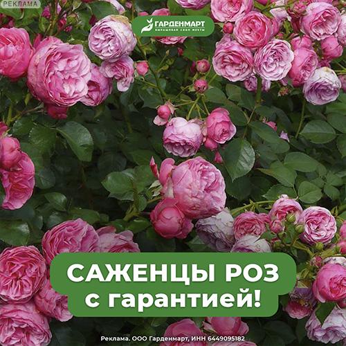 Gardenmart24